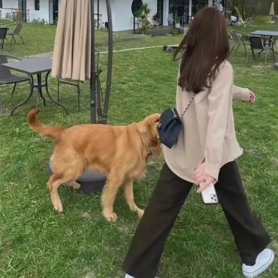 千鹤先生